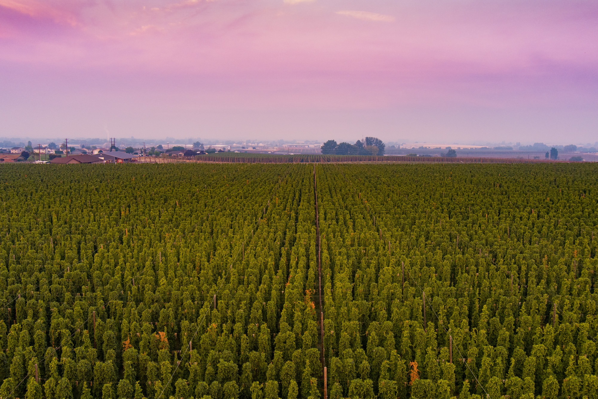 Loftus Ranches Drone